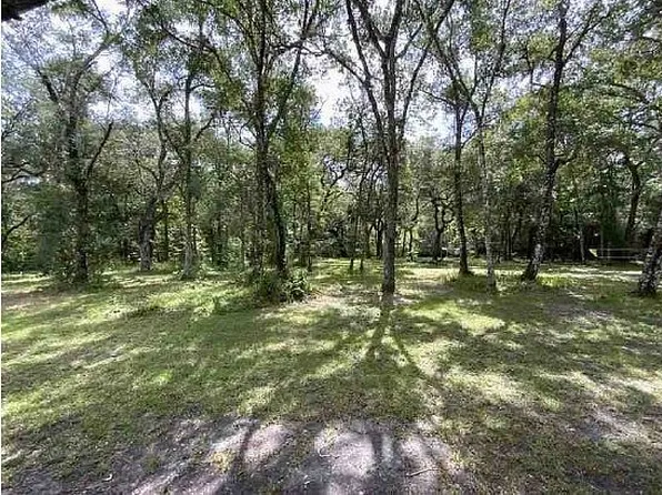 3002 SW 127th Ave, Webster, FL 33597