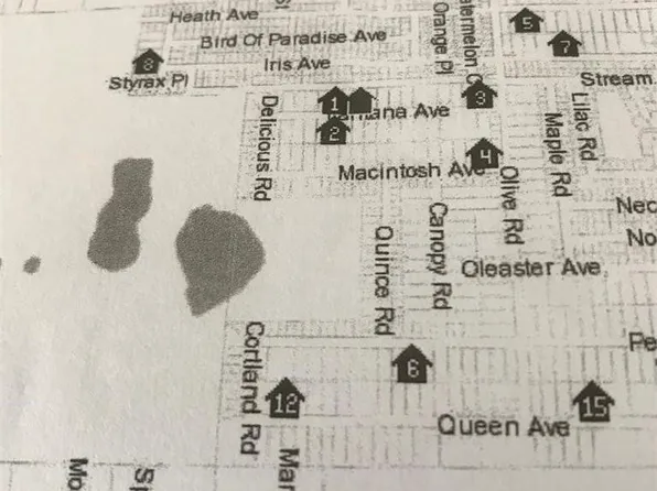 2138 Lantana Avenue, Sebring, FL 33875