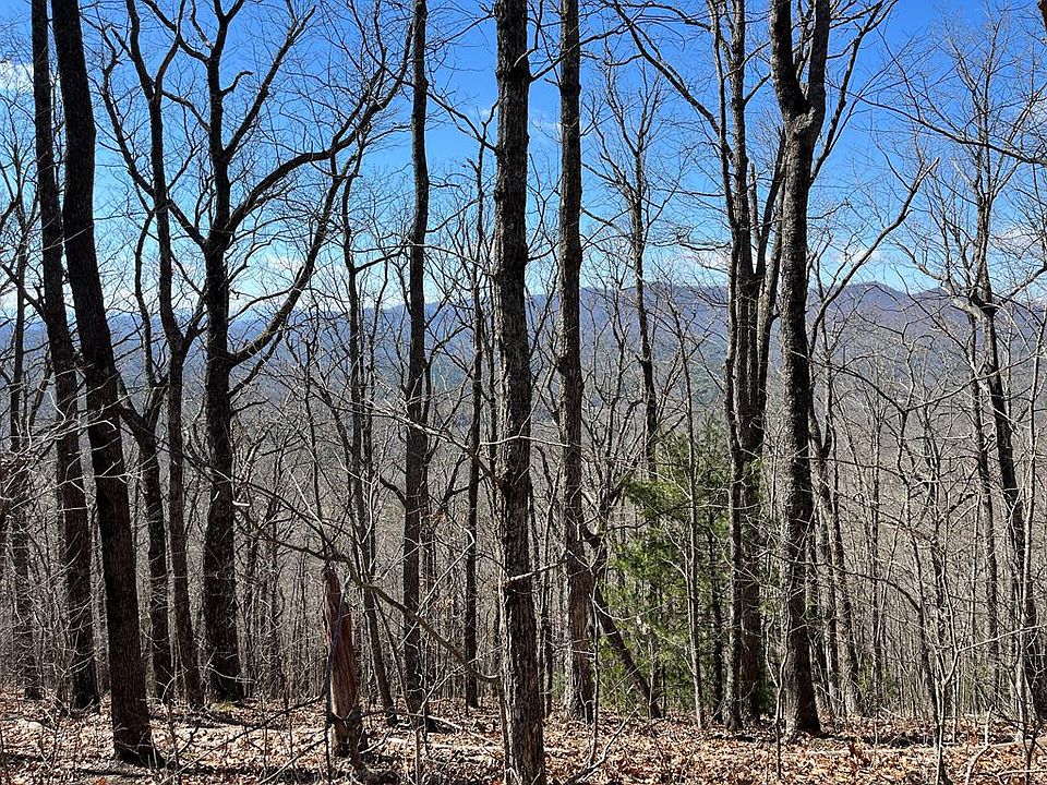 1st image of TBD Treehouse Trail