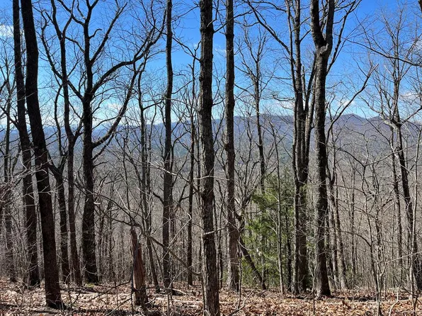 TBD Treehouse Trail, Murphy, NC 28906
