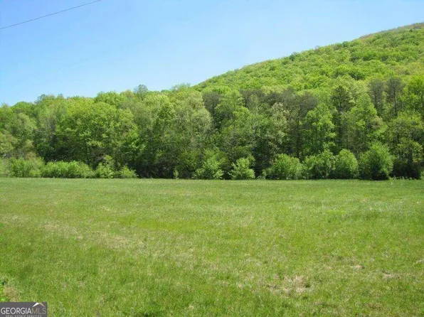 0 Hog Jowl Rd #18.59, Chickamauga, GA 30707