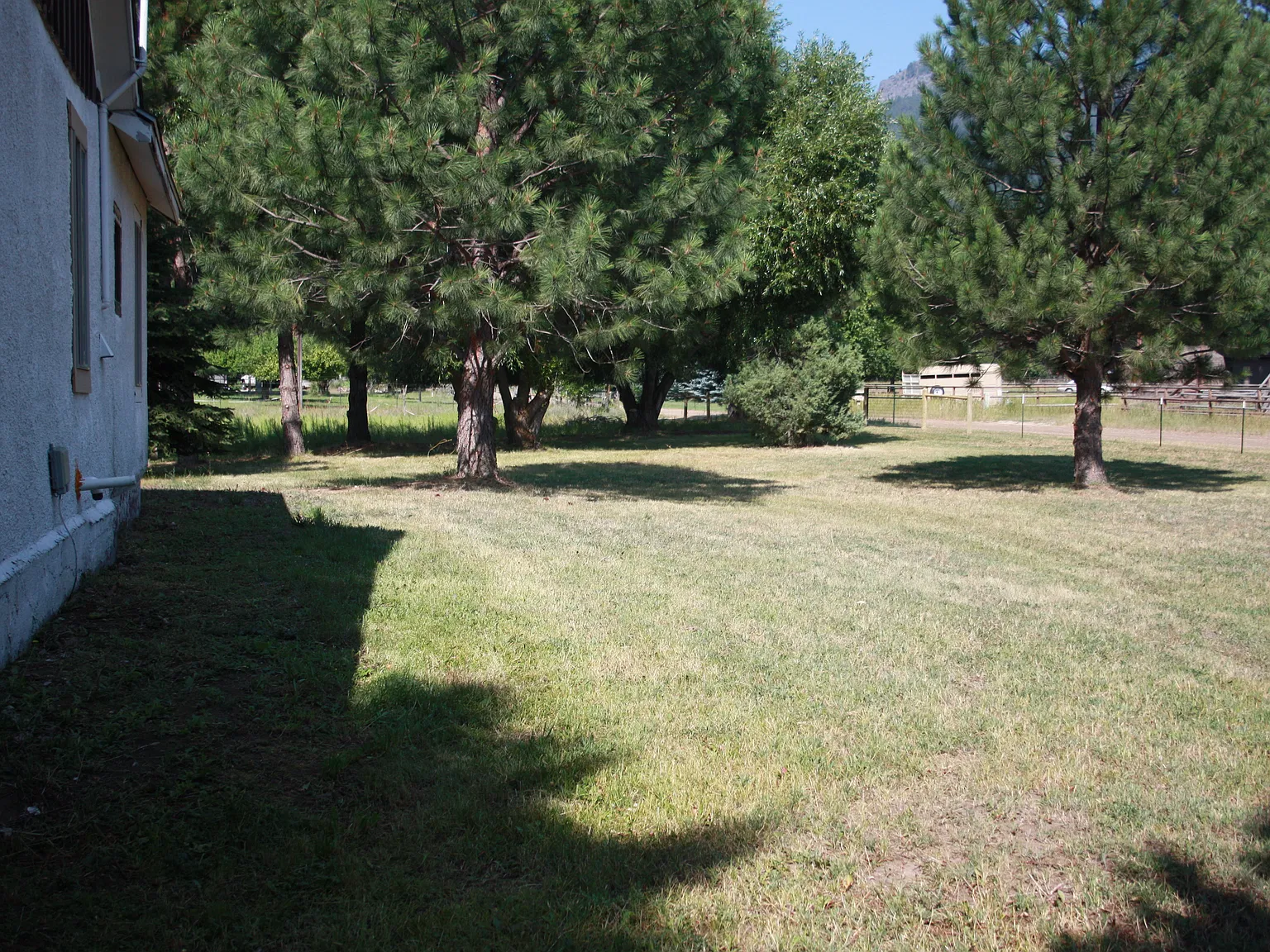 3 bed, 1463 sqft, $1,900 — Photo 4