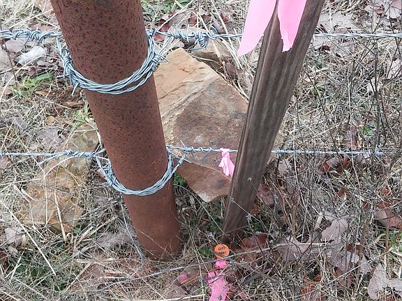 Back Fence Survey SW corner