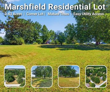 Lot 1 N Pine Street, Marshfield, MO, 65706