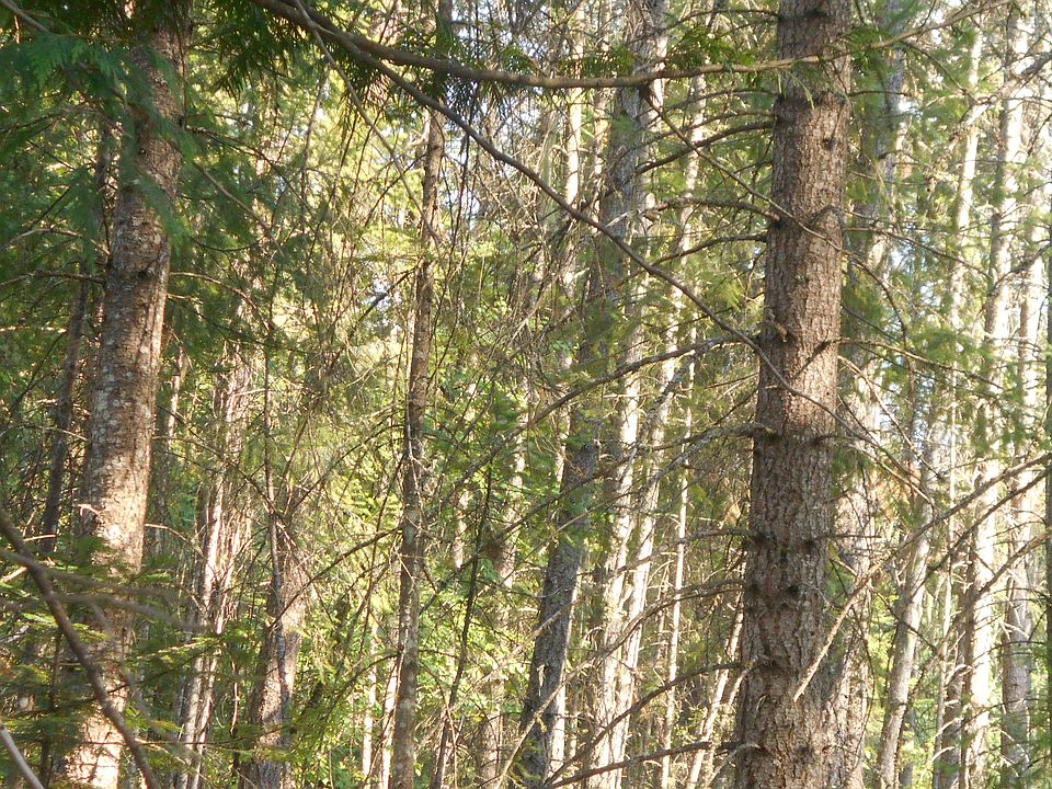 2nd image of 225 Upper River Rd