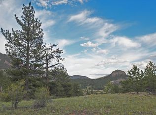 348 Sleepy Joe Dr, Lake George, CO 80827