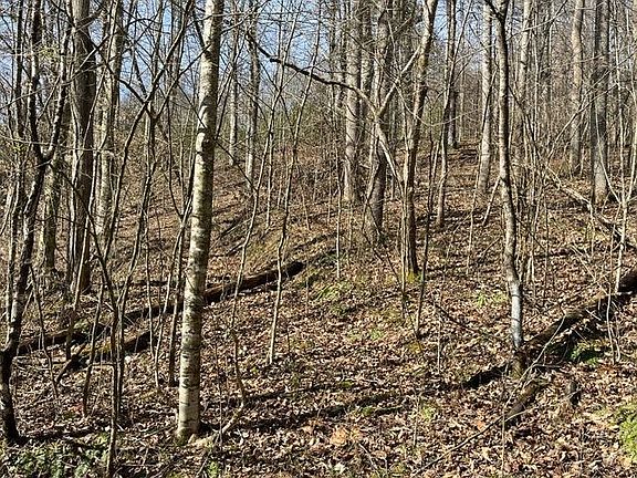 3rd image of 326 Earl Crisp Rd