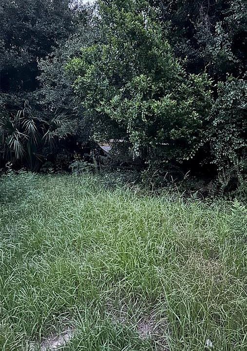 2nd image of SE 135th Ln Lot 47