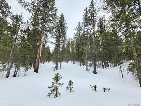 512 Juniper Drive, Twin Lakes, CO 81251