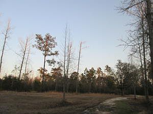 5th image of 34 Arlena Ln