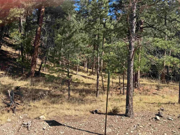 19 Canyon Trl, Cloudcroft, NM 88317
