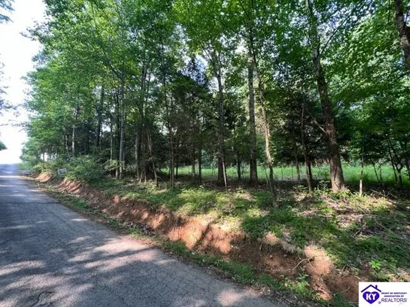 71 Wyandotte Rd, Leitchfield, KY 42754