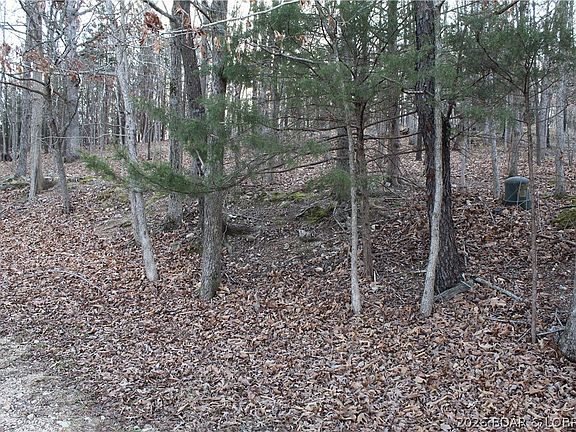 5th image of 39 Gray Wolf Rd