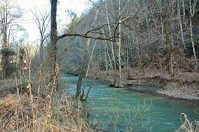 1st image of Creek Hollow Way