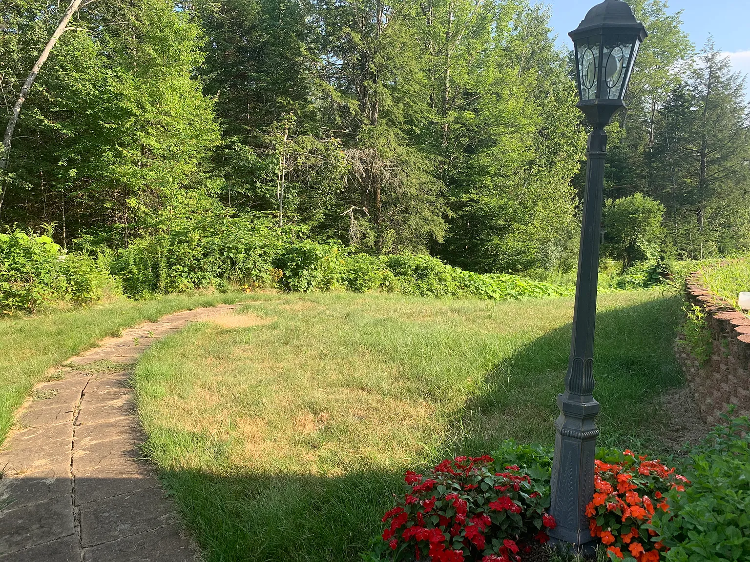 1 bed, 1299 sqft, $1,600 — Photo 4
