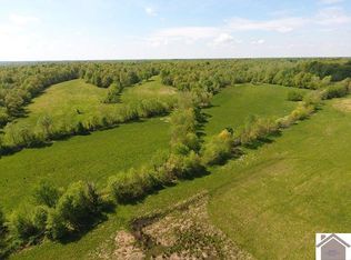 1115 Pugh School Rd, Benton, KY 42025