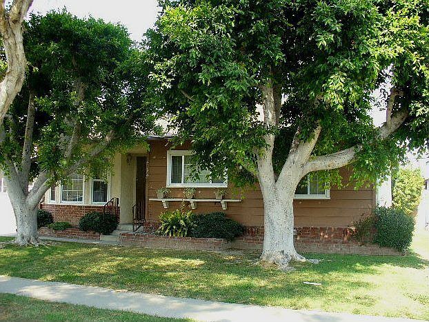Nice and shady