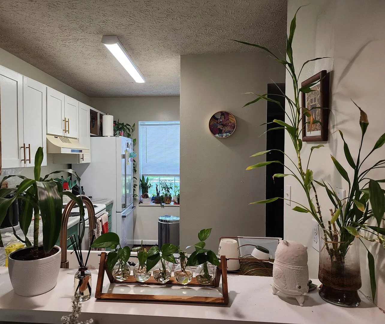 2494 S Burberry Lane — Photo 2