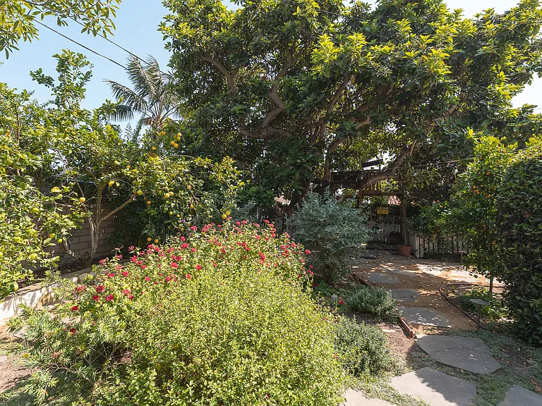 Backyard oasis