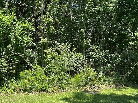 4th image of 0 Pritchard Green Rd