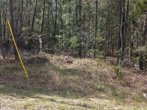 0 Fisher Ct #13, Ocklawaha, FL 32179