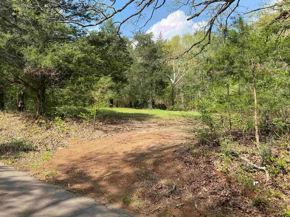 0 County Road 4608, Troup, TX 75789