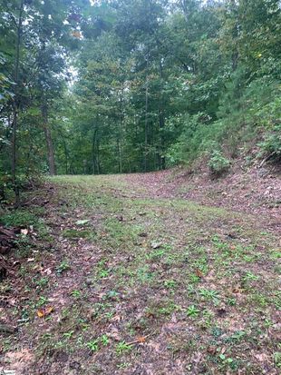 0 Copper Leaf Ln Lot 6, Travelers Rest, SC 29690