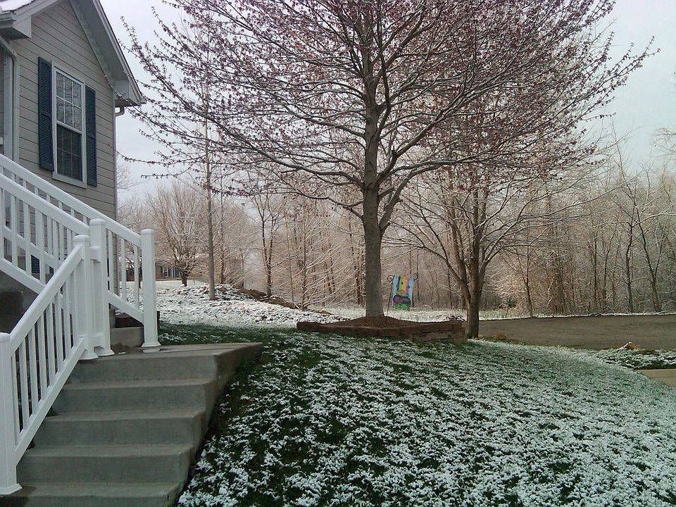 View of Woods next to House.
