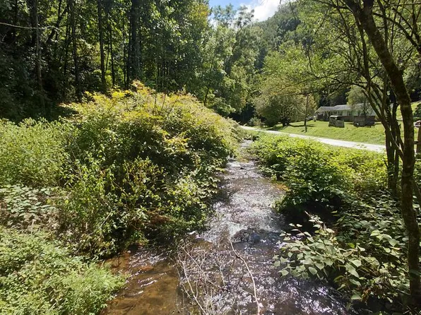 1600 Coopers Creek Rd, Bryson City, NC 28713