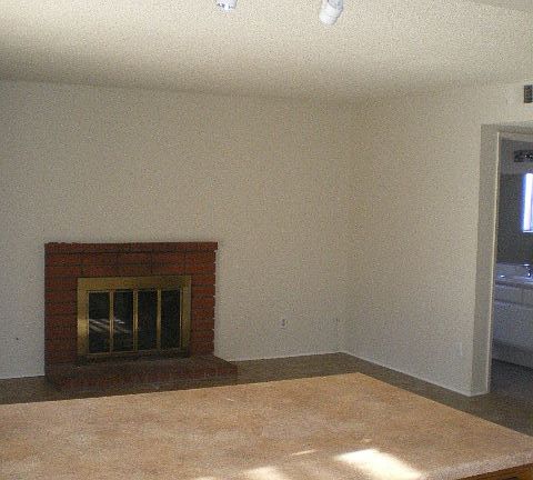Family room and fireplace