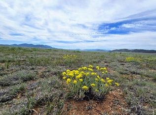 8127 Larimer Rd, Hartsel, CO 80449