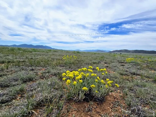 8127 Larimer Road, Hartsel, CO 80449