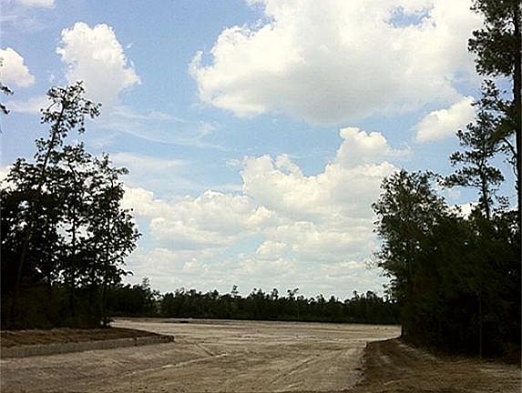 Gorgeous trees surround this lake.