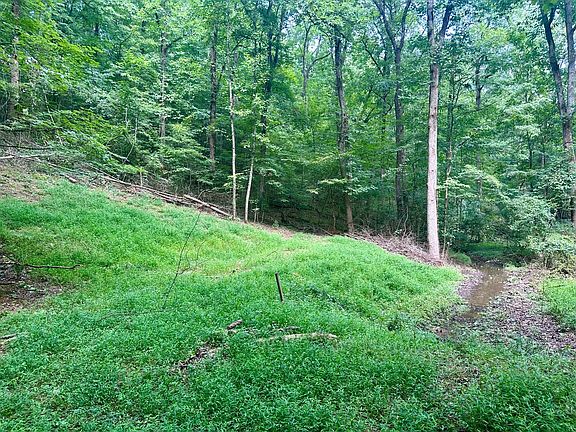 3rd image of 2012 Gold Point Cir S