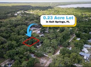 NE Corner Of Ne Lane And Ne 250 Ct #130, Fort Mc Coy, FL 32134