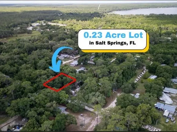 NE Corner Of Ne Lane And Ne 250 Ct #130, Fort Mc Coy, FL 32134