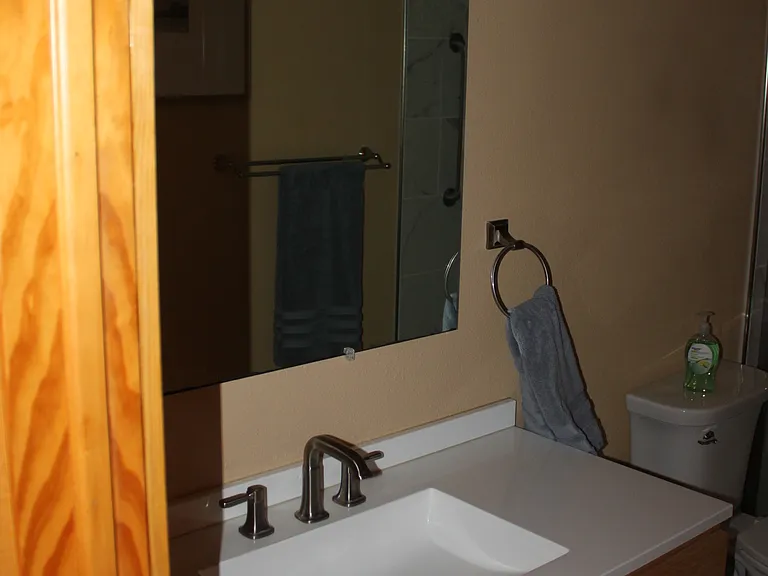 174 Sluice Run Ct — Photo 9