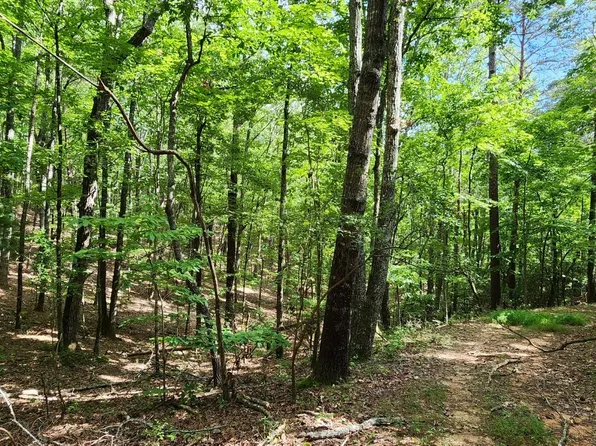 High Country Rd, Talking Rock, GA 30175