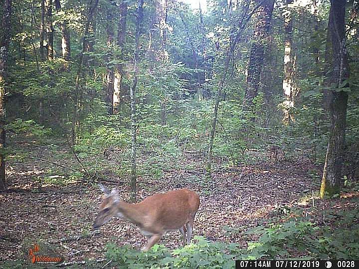 1st image of 545 S Winterset Ave