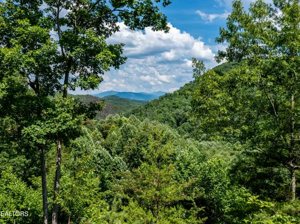 129 Anatole Pass, Townsend, TN 37882