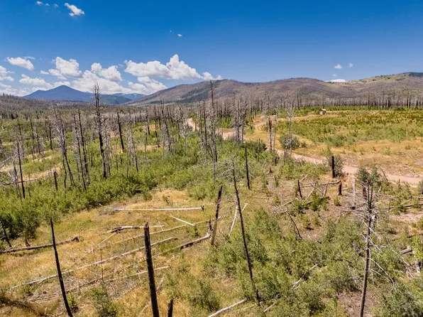 1626 Emery Loop, Fort Garland, CO 81133