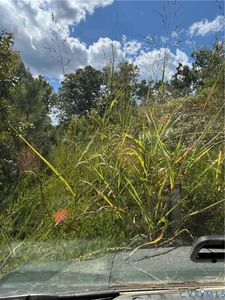 45-11 Turkey Egg Rd Lot 11, Dinwiddie, VA, 23841