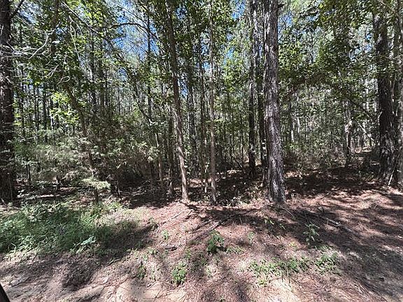 4th image of 1603 County Road 39