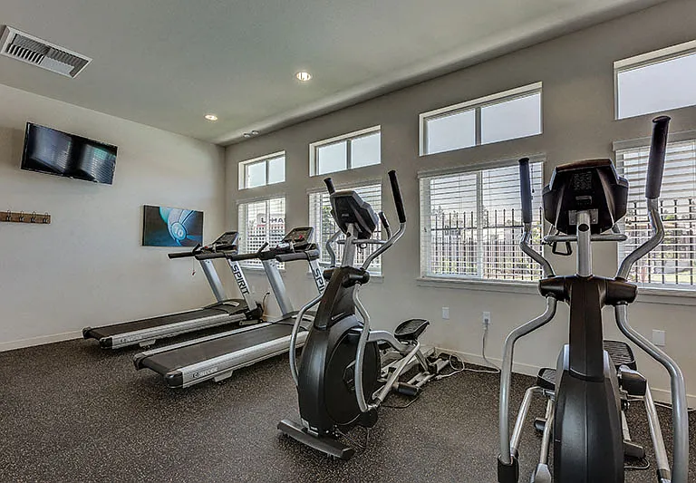 Treadmills, Ellipticals, and more!