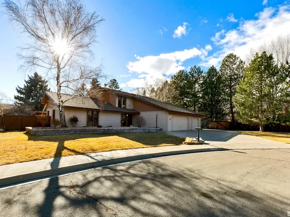 1119 Stagecoach Ln, Carson City, NV 89703