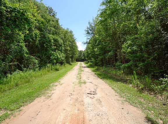 2nd image of 1175 Fm 1270