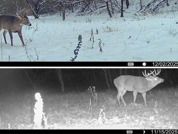 3rd image of 0 County Road C