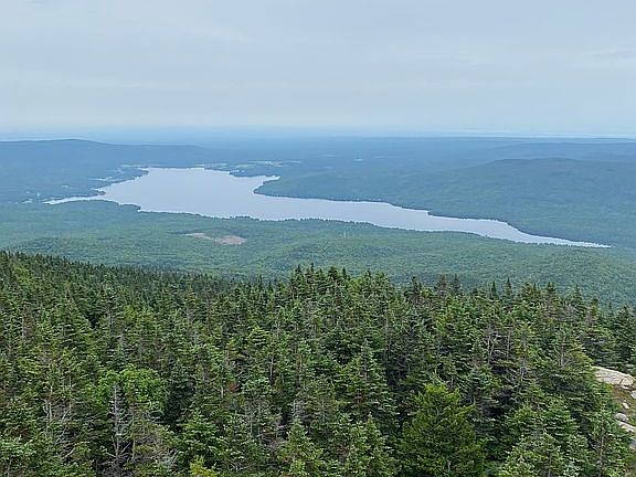 Top of Lyon Mt. fire tower