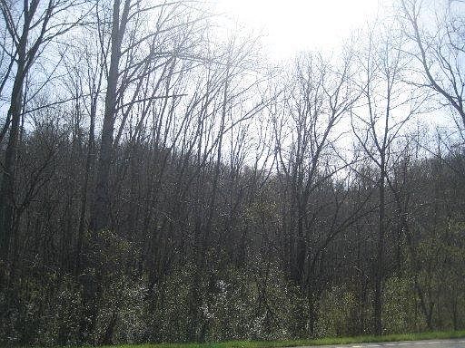 1st image of Lake City Hwy