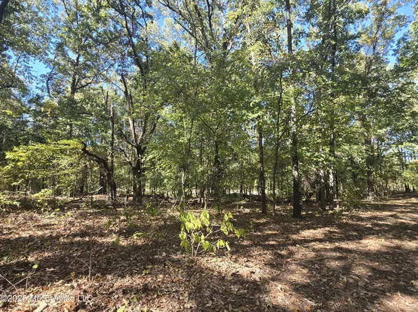 10177 Parks Place Rd, Como, MS 38619